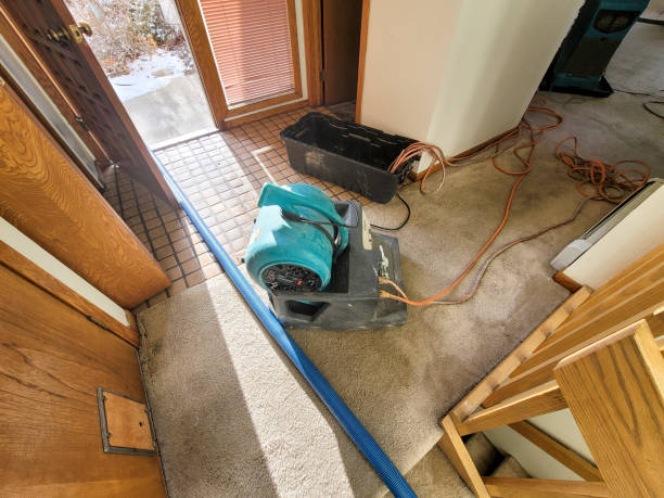 Best Local water damage restoration  in Glendive, MT