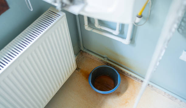 Best Mold removal after water damage  in Glendive, MT