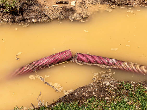 Best Water damage restoration services  in Glendive, MT
